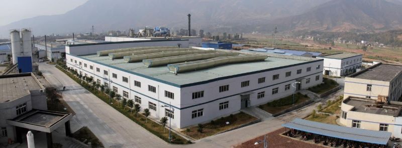 W020241121369721445987