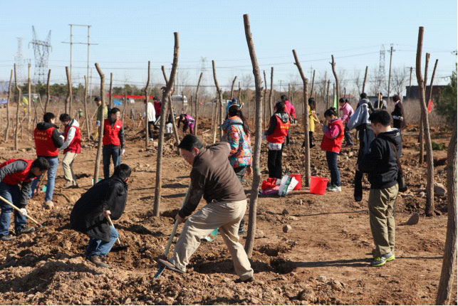 W020241121372709099974