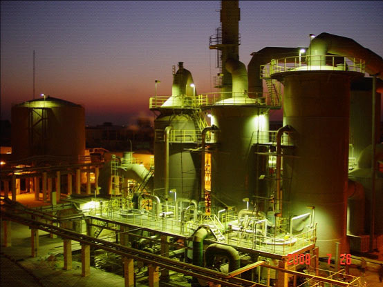 W020241119545510904013