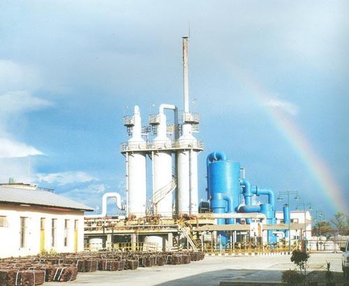 W020241119527171842764