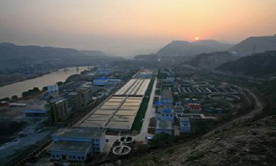 W020241119527685696534