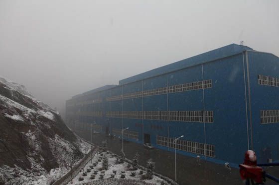 W020241119525545654550