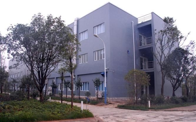 W020241119525552787095