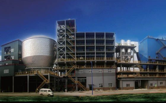 W020241119529312482565